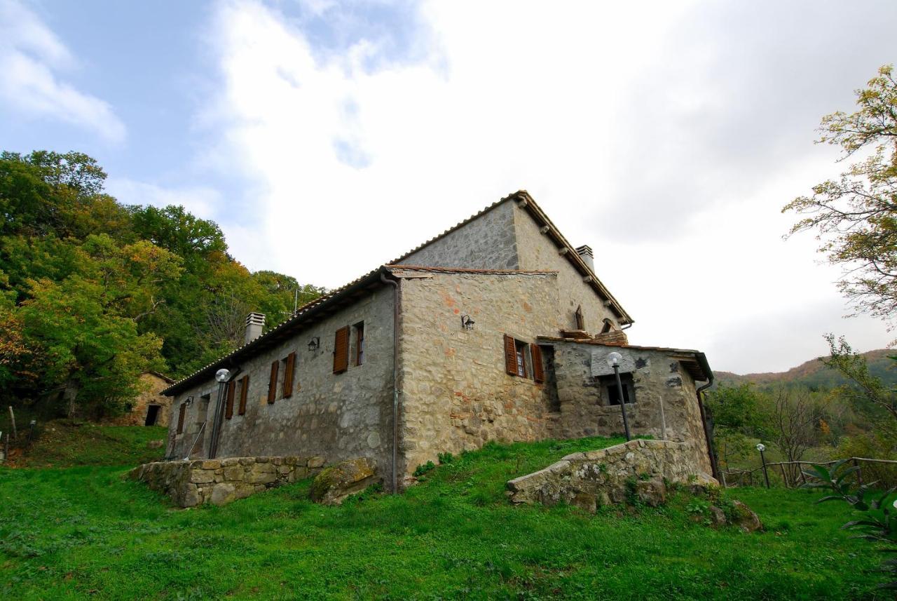 Agriturismo La Piaggia Appartamenti A Vivo dʼOrcia Εξωτερικό φωτογραφία