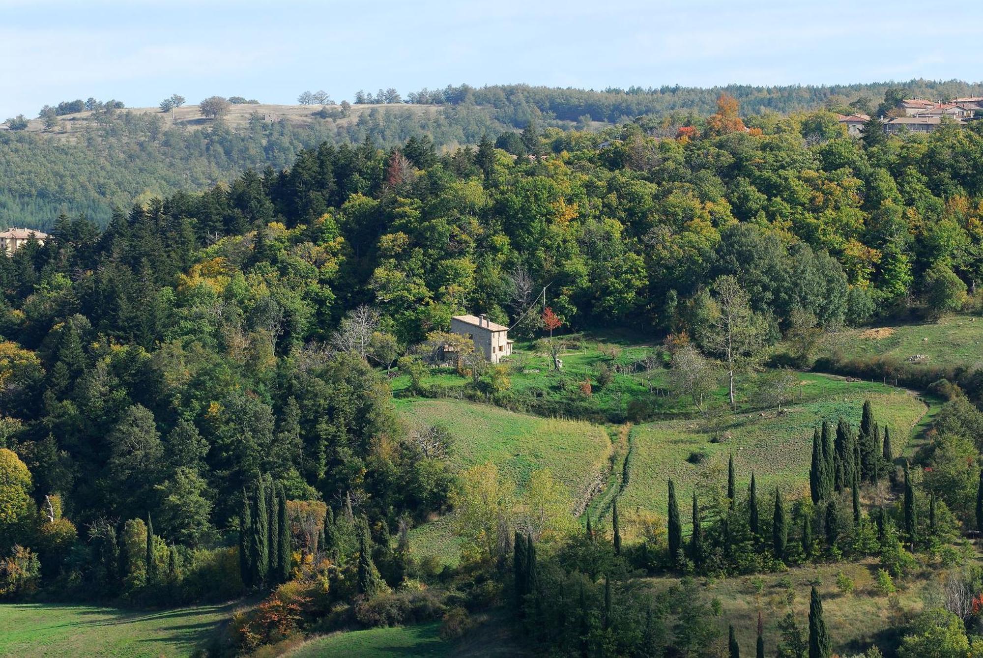 Agriturismo La Piaggia Appartamenti A Vivo dʼOrcia Εξωτερικό φωτογραφία