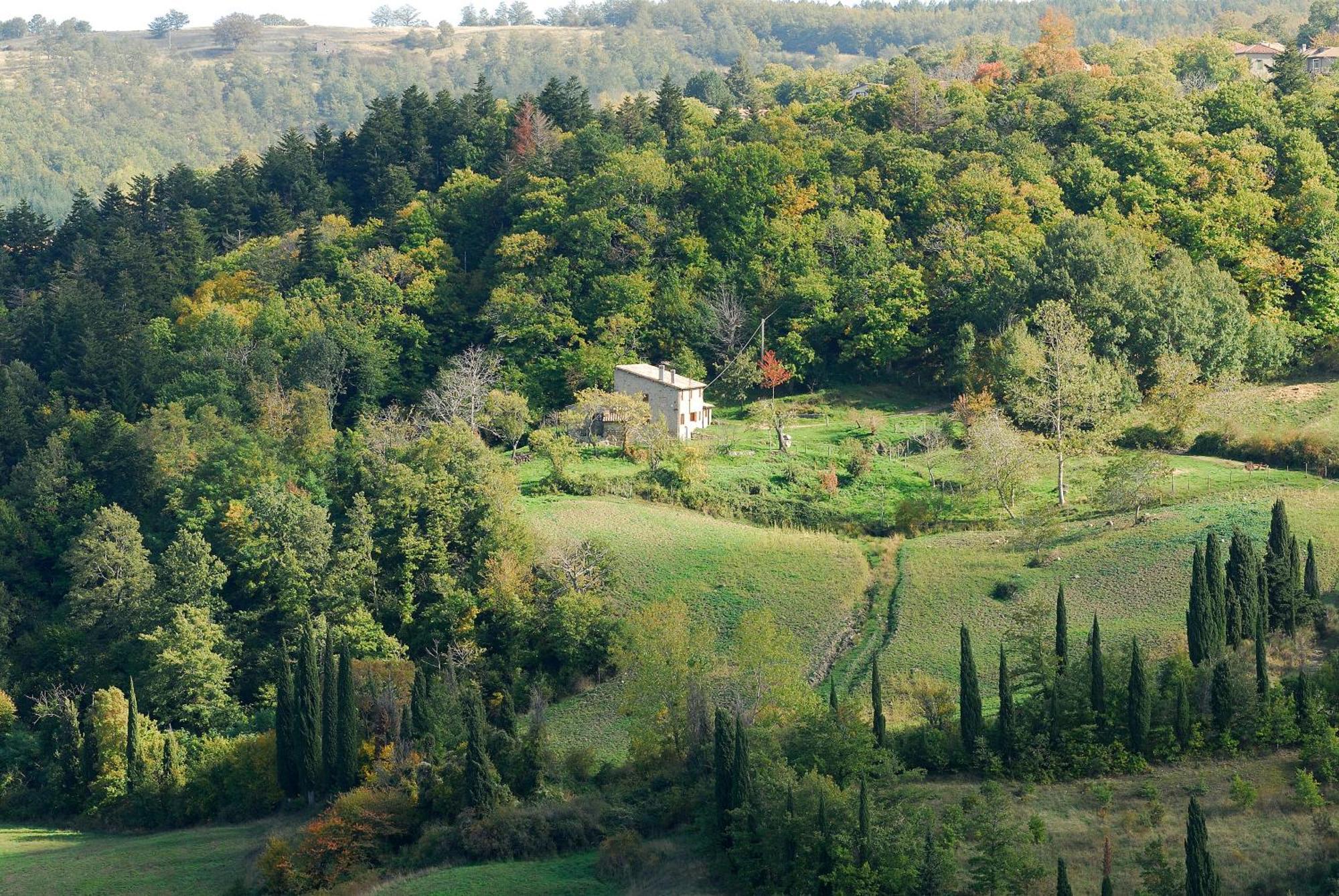 Agriturismo La Piaggia Appartamenti A Vivo dʼOrcia Εξωτερικό φωτογραφία